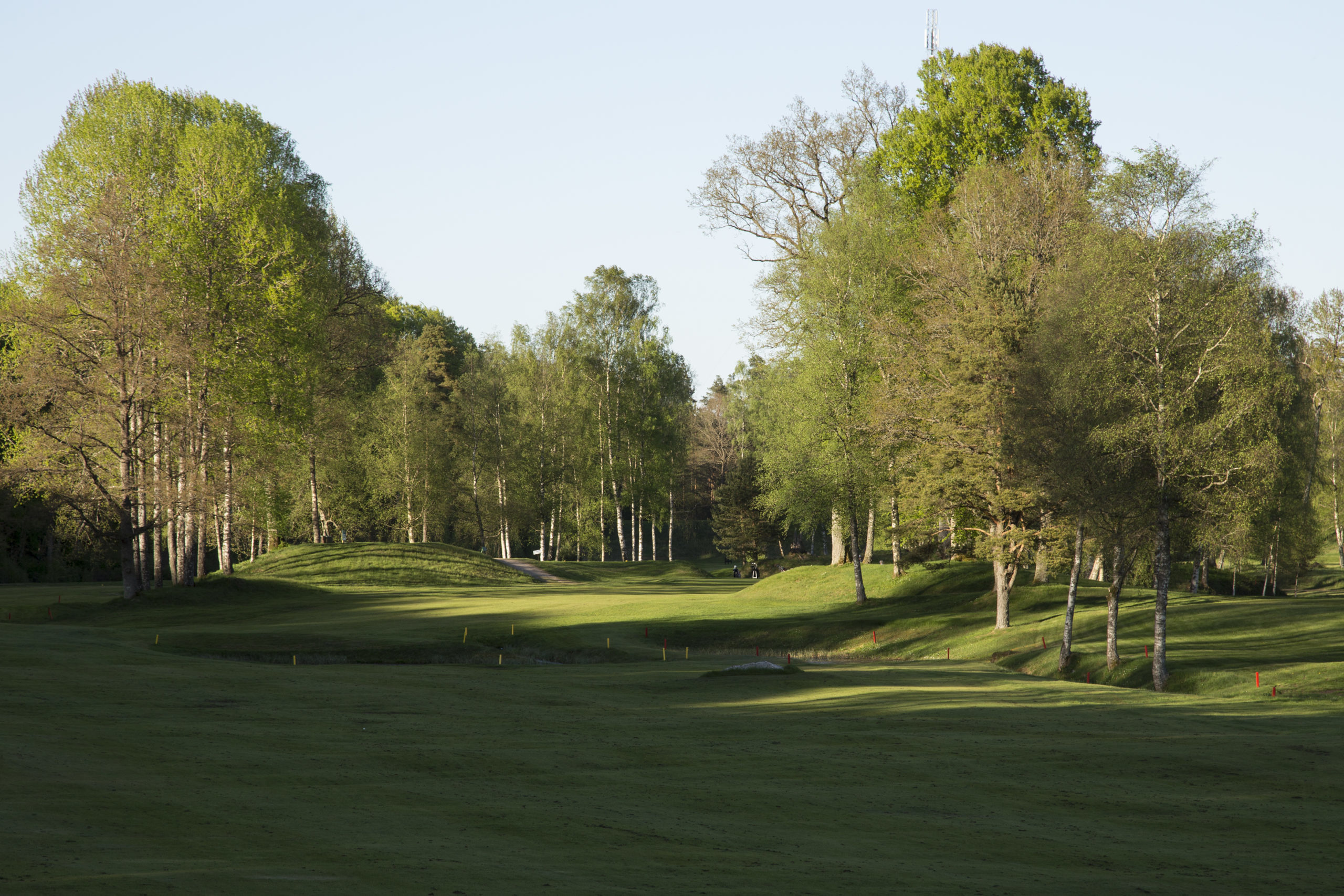 Vy över golfbanan vid Wittsjö Golfklubb